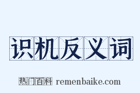 识机反义词是什么意思的图片